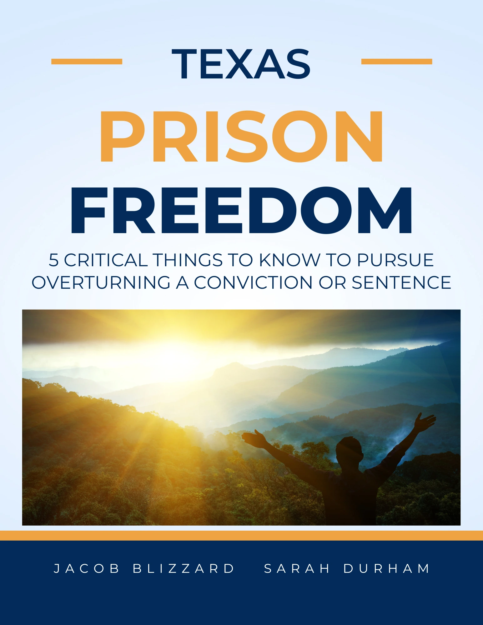 Five critical things to know to pursue overturning a conviction or setnence in Texas - Fre eBook download.